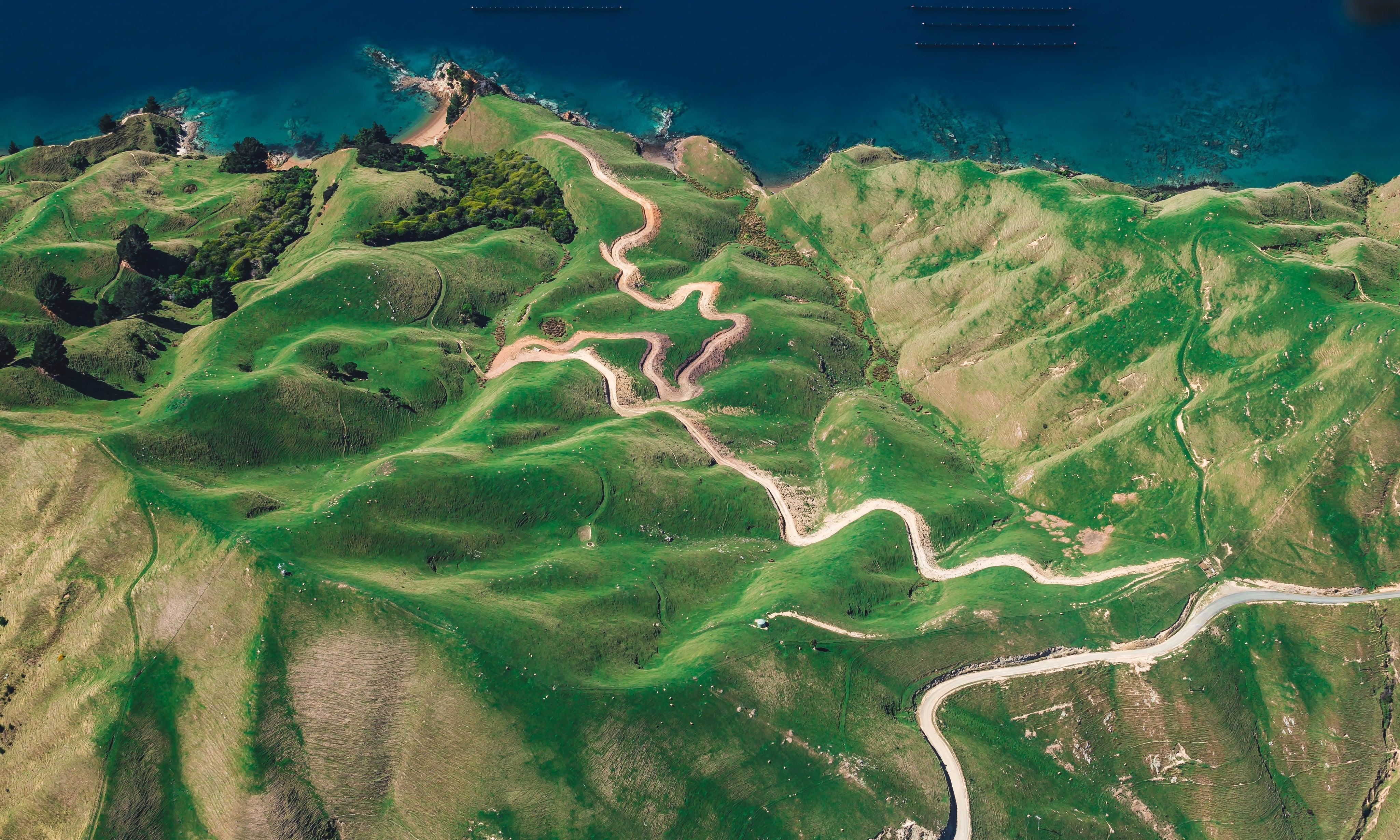 Getting Technical: Best Websites & Apps for Exploring New Zealand