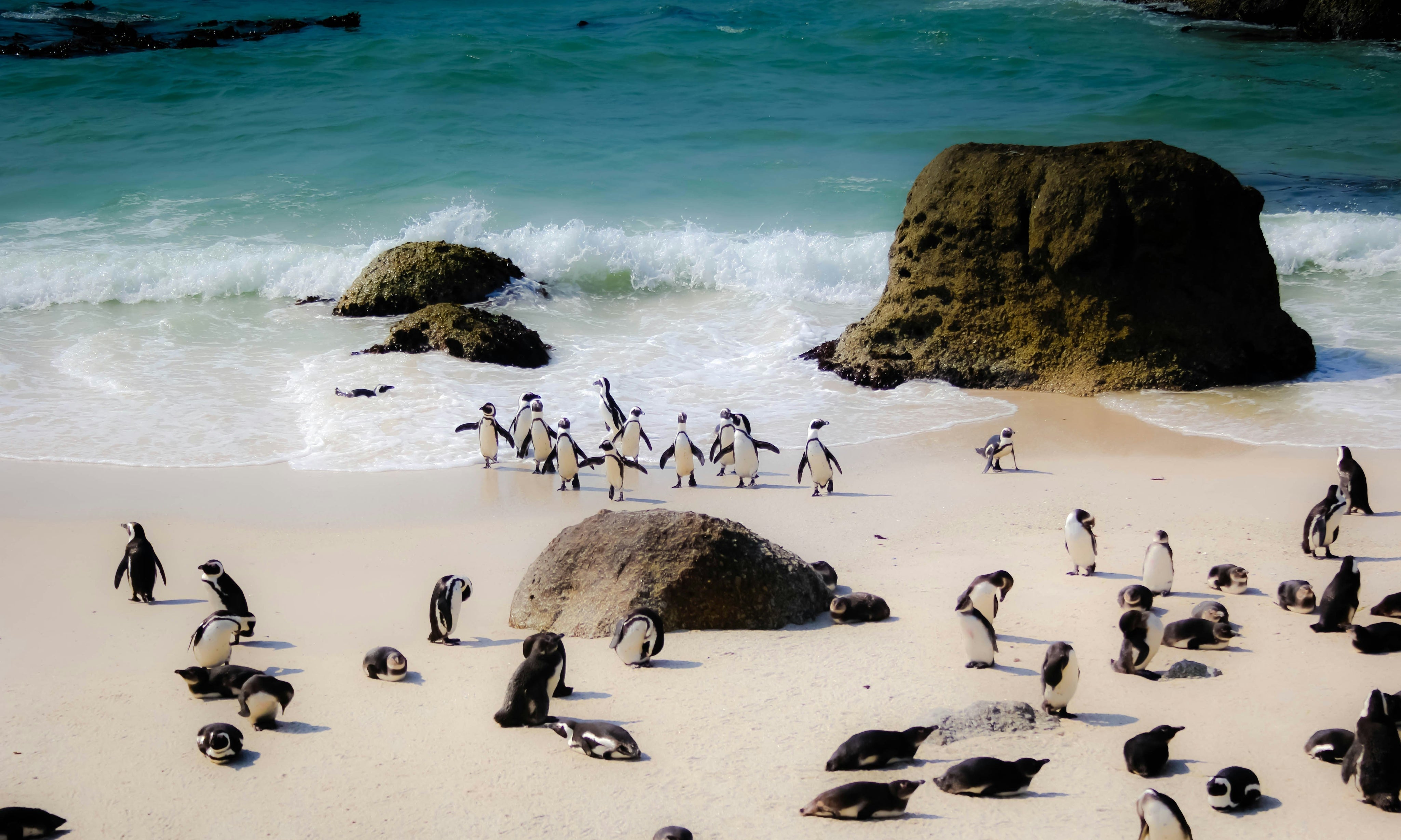 Best Place To Travel In January For Warm Weather