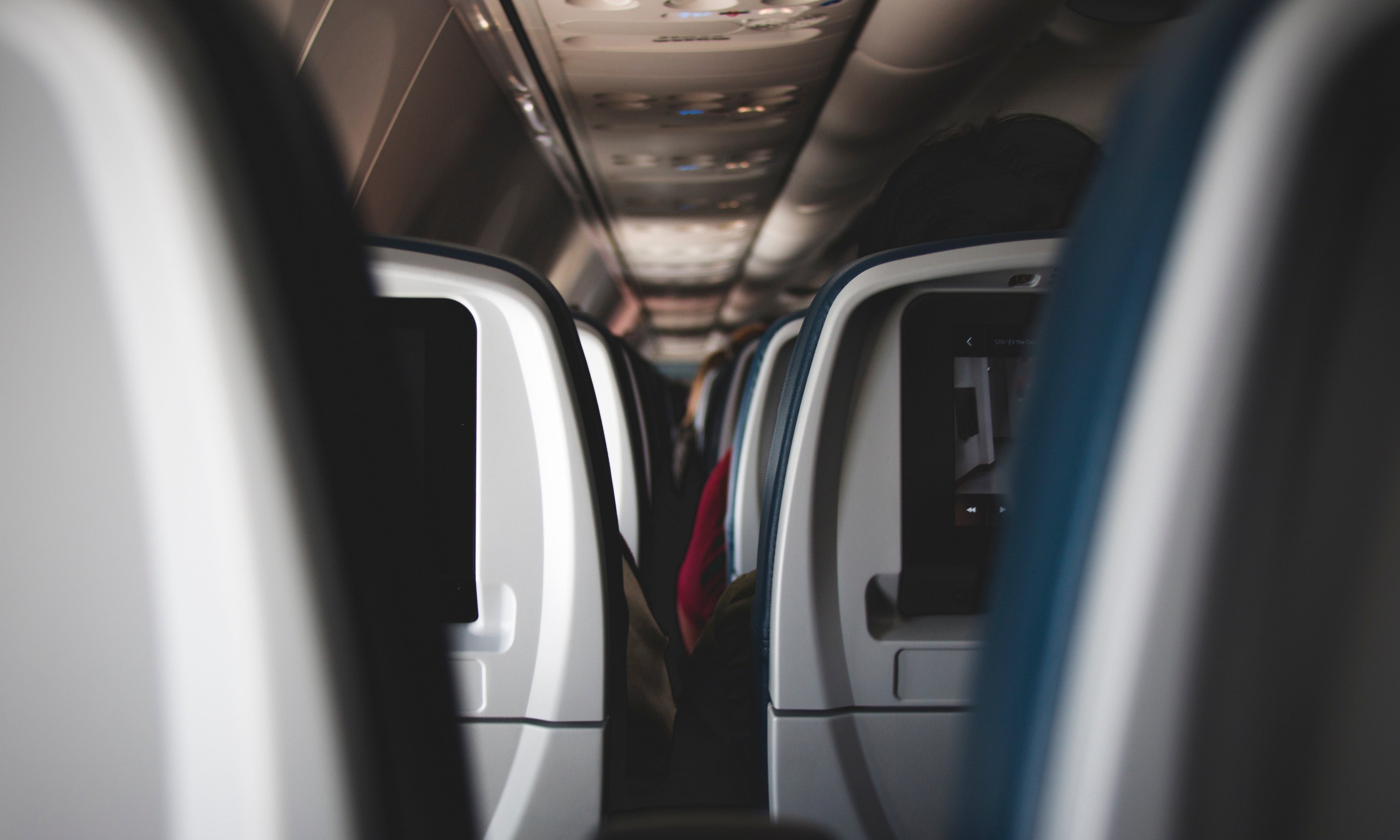 10 Tips for Taking Your Dog on a Flight (in cabin)