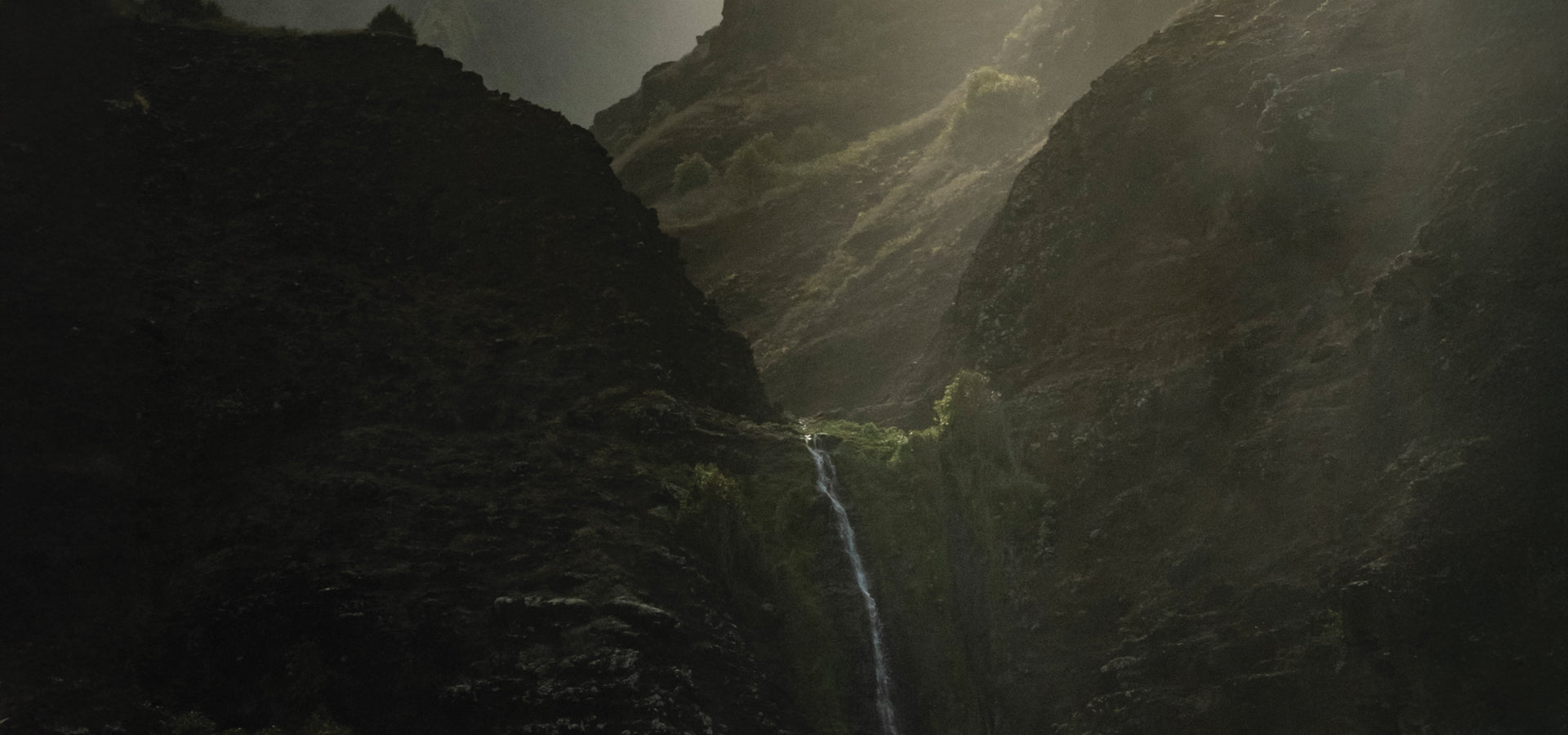 Blog_Header-Image_e30501de-4c0e-4c2c-a9e1-fd9f17e1c65e.jpg