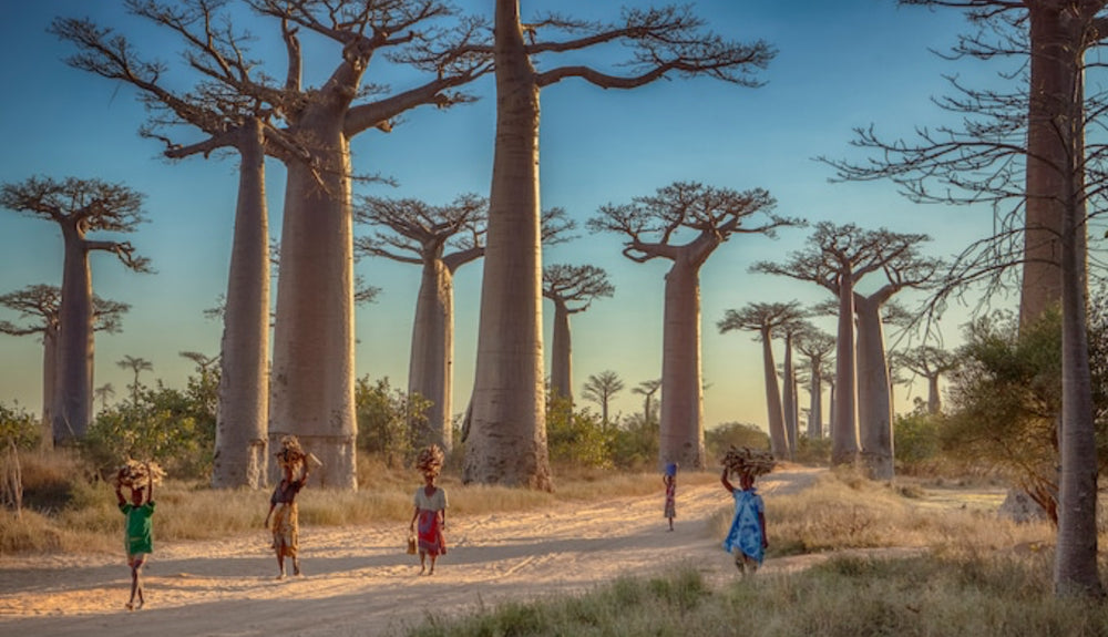 4. MADAGASCAR