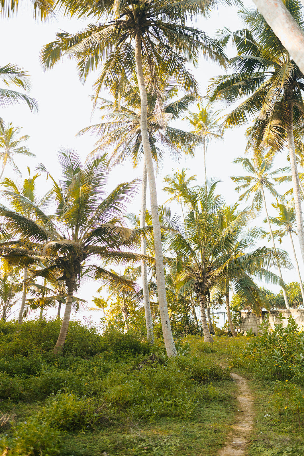 1. Mirissa, Sri Lanka